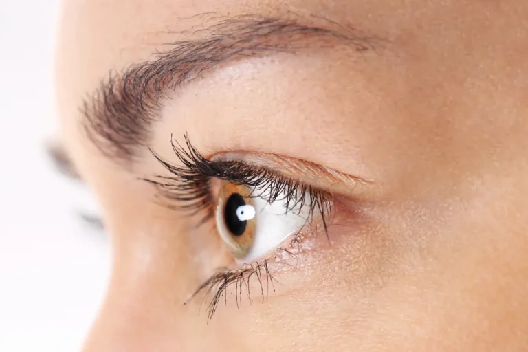 Gros plan sur un œil de profil avec des cils naturels vus de près